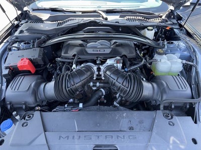 2024 Ford Mustang Dark Horse