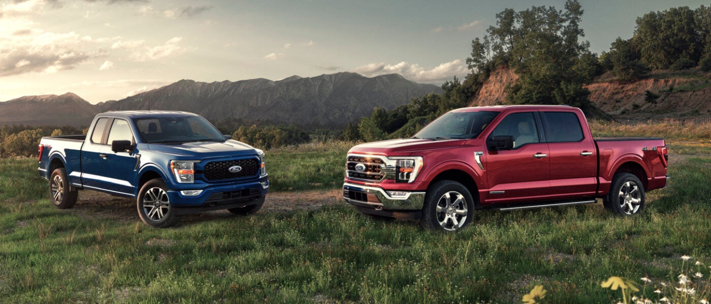 Two Ford F-150 trucks parked in a grassy field